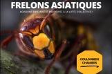 Réunion publique frelons asiatiques